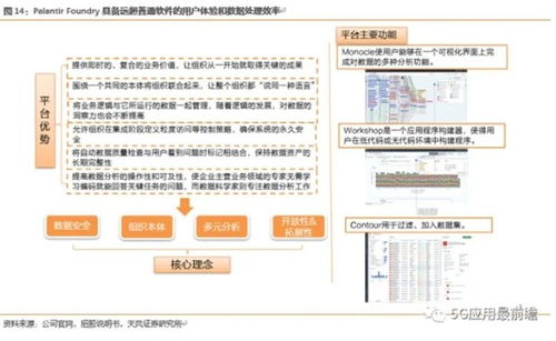 高光上市背后的Palantir 透視數據處理巨頭的高毛利與高估值之謎